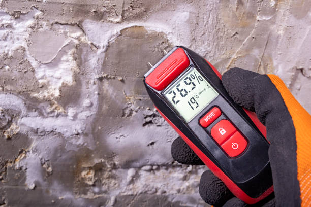 Best Industrial Mold Remediation in Sparta, MI